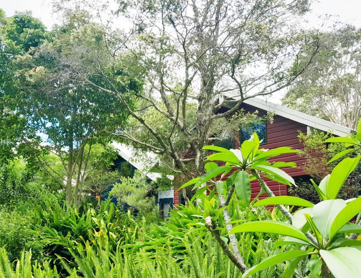 Sky Island Studios Mount Tamborine Exteriér fotografie