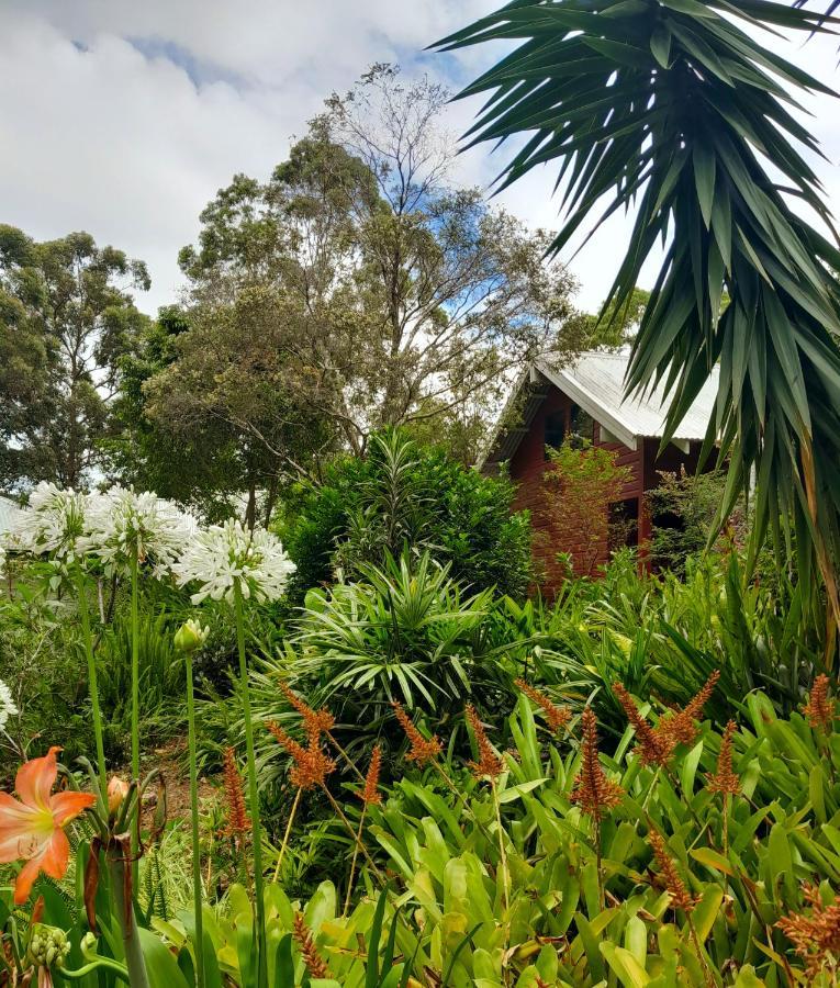 Sky Island Studios Mount Tamborine Exteriér fotografie